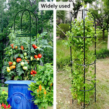 Load image into Gallery viewer, Garden Obelisk Trellis / Metal Trellis Flower Support for Climbing Vines / Plants Outdoor Green Steel