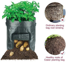 Load image into Gallery viewer, potato grow bags2