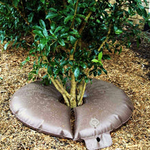 Load image into Gallery viewer, Tree Watering Bag2
