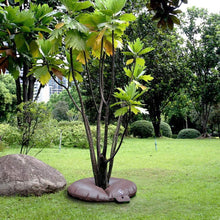 Load image into Gallery viewer, Tree Watering Bag1