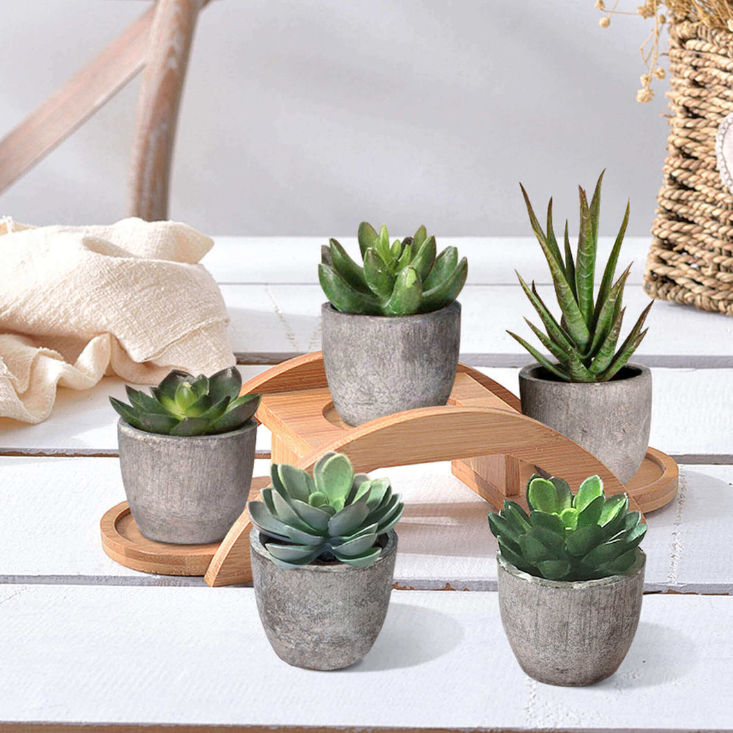 Skypatio Set of 5 Artificial Succulent Plants/Fake Plants Potted Cactus Plants with Gray Pots for Home Decor