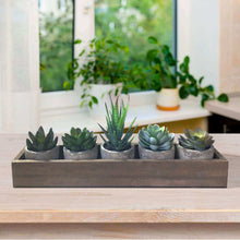 Load image into Gallery viewer, Skypatio Set of 5 Artificial Succulent Plants/Fake Plants Potted Cactus Plants with Gray Pots for Home Decor
