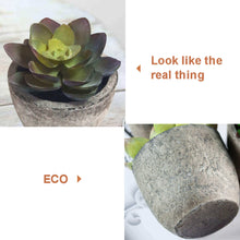 Load image into Gallery viewer, Skypatio Set of 5 Artificial Succulent Plants/Fake Plants Potted Cactus Plants with Gray Pots for Home Decor

