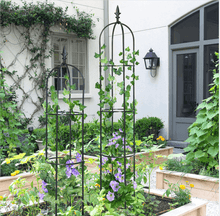 Load image into Gallery viewer, Garden Obelisk Trellis / Metal Trellis Flower Support for Climbing Vines / Plants Outdoor Green Steel
