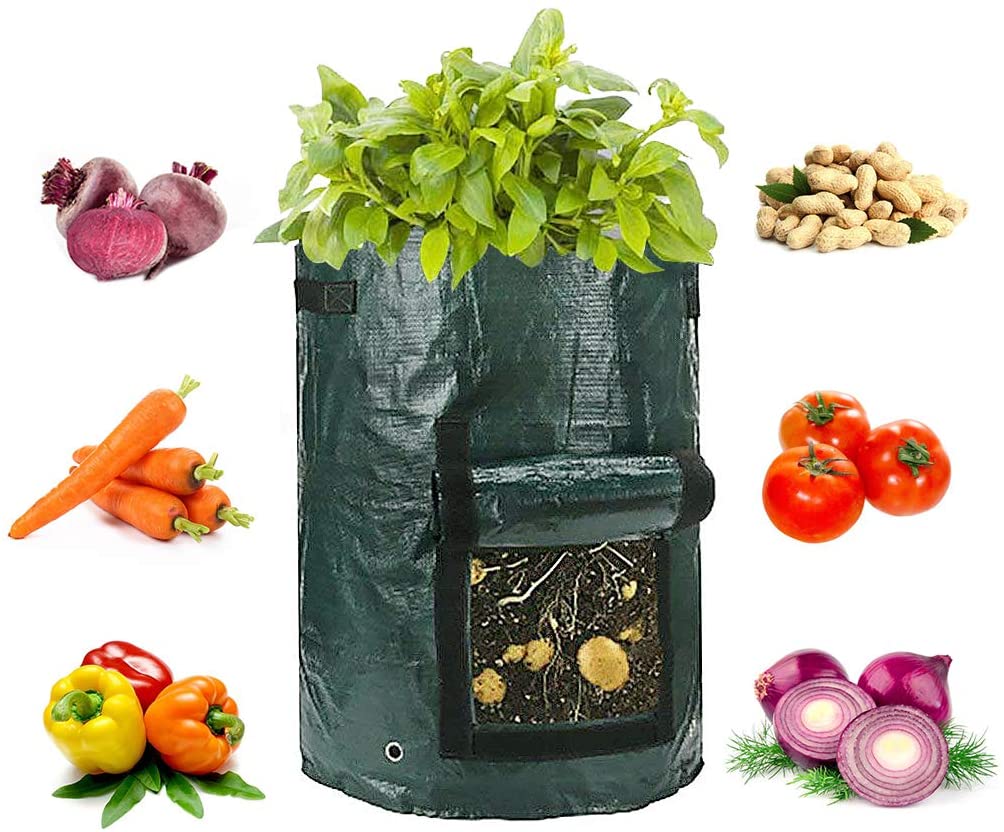 potato grow bags1